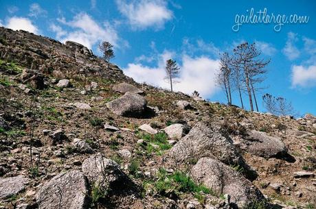 Peneda-Gerês National Park, Portugal