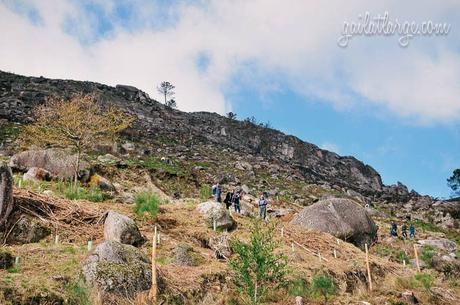 Peneda-Gerês National Park, Portugal