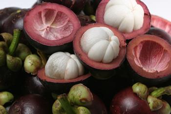 mangosteen first experience~let’s eat!