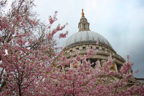 In & Around #London… Spring Is On the Way #photoblog