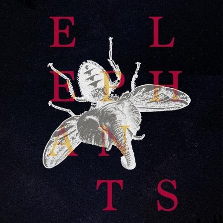 o.ccult: Elephants