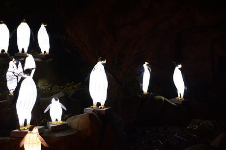 A Visit to China Light Zoo Antwerp