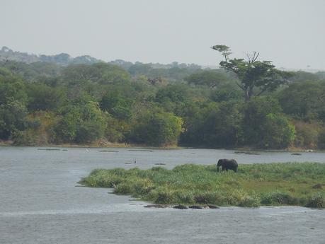 elephant Nile Safari Lodge, Murchison, Uganda