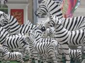 DAILY PHOTO: Shrine Zebras