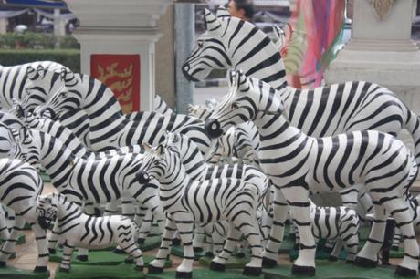 DAILY PHOTO: Shrine Zebras