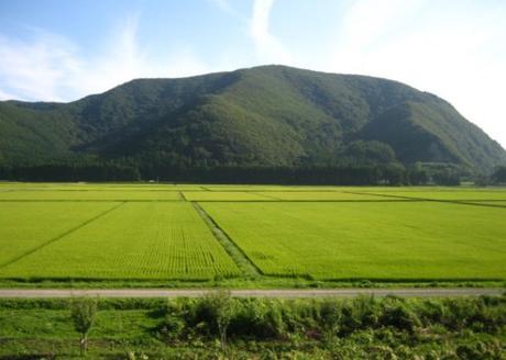Japan Rice Production