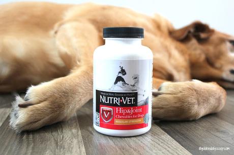 How #NutriVet Helps My Dog With Hip Dysplasia & Arthritis 