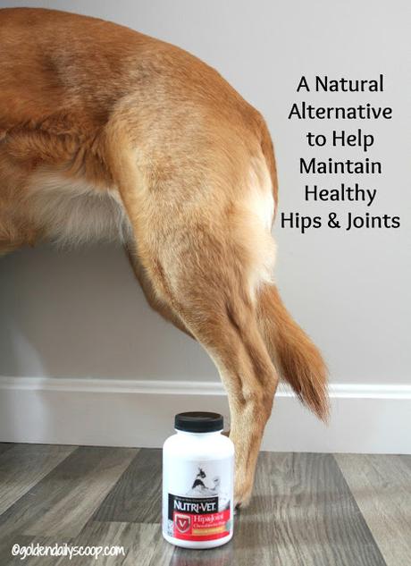 a natural way to maintain your dog's hips and joints with Nutri-Vet supplements 