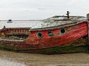 Abandoning Boat Kills Environment