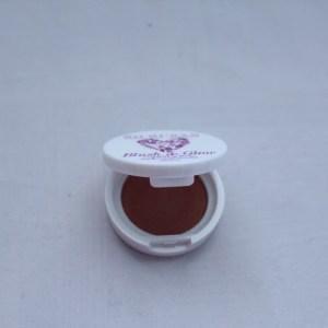 March 2017 IPSY Review