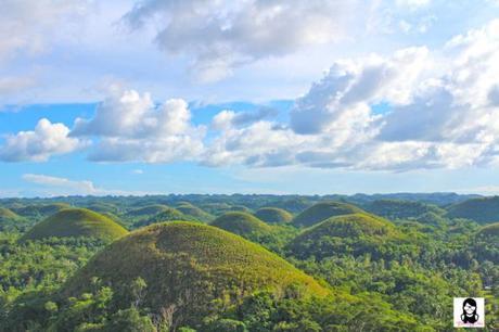Top 10 Tourist Spots to Visit in Bohol, Philippines