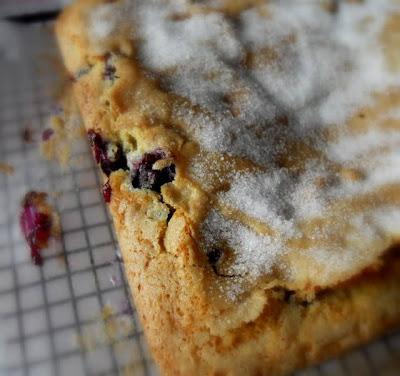 Blue Ribbon Blueberry Cake