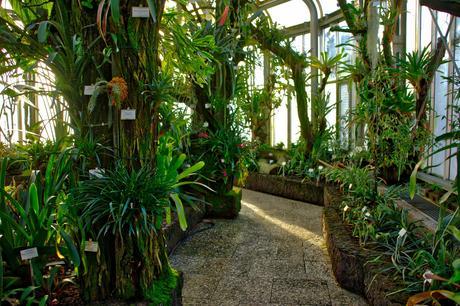 Botanical Gardens Berlin