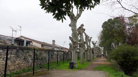 Jardin des Remparts: Bordeaux’s secret garden on the old city walls