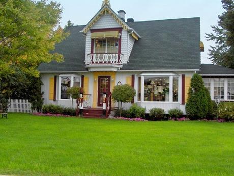 How to grow grass seed