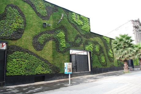 Vertical Gardens