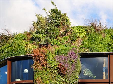 Vertical Gardens