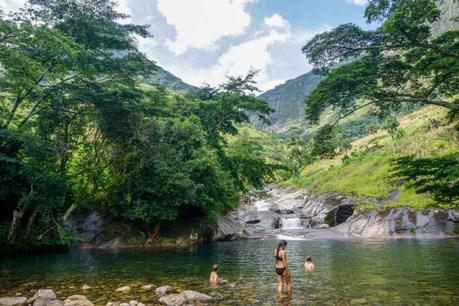 International Day of Forests: Stories About The Forest