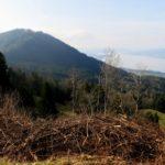 Spring Equinox Celebration in the Paracelsus Centre Einsiedeln