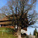 Spring Equinox Celebration in the Paracelsus Centre Einsiedeln