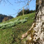 Spring Equinox Celebration in the Paracelsus Centre Einsiedeln