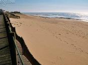 Porto’s Northern Beaches: Praia Angeiras (Norte)