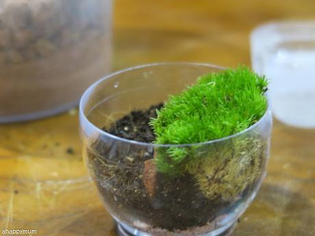 Creativity 521 #109 - Fun with DIY terrariums