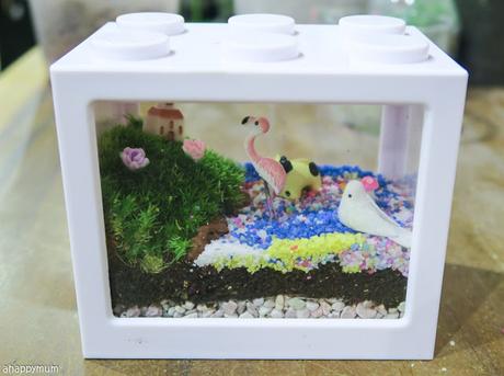 Creativity 521 #109 - Fun with DIY terrariums