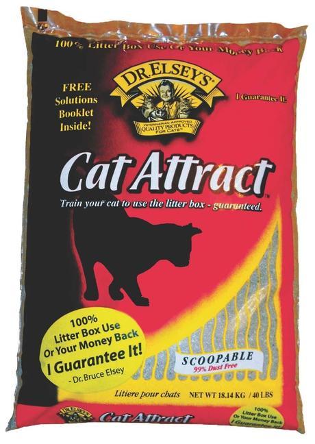 Best non tracking cat litter reviews Mar/2017- Buyer’s guide