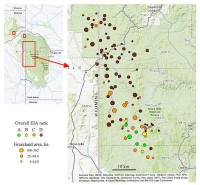 Black Hills Montane Grassland Infographic