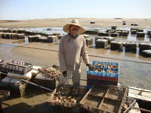 La Ostionera Oyster Farm