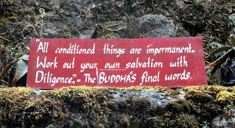 #SSUinGangtok Part I - Rumtek Monastery and 6 Buddha Quotes