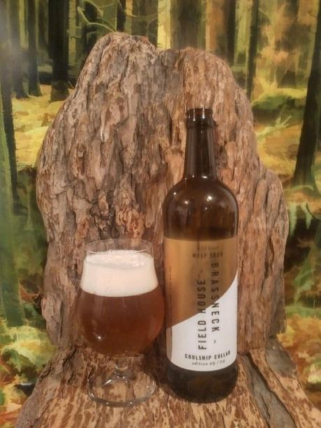 Wild Brett Wasp Sour – Field House Brewing (Brassneck)