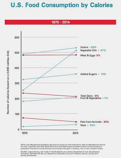 Americans Were Following the Guidelines and Their Health Deteriorated