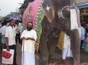 Never Knew That Tagua Seeds Frozen Siberian Tundra Alternates Elephant Ivory