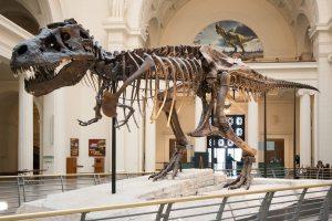 Meet Dinosaurs at New ‘Jurassic World’ Exhibit at the Field Museum