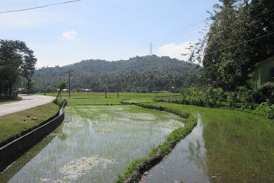 Taking It Slow in Idyllic Romblon