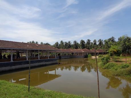 136) Mahe & Kannur: (8‘9‘10/10/2016)