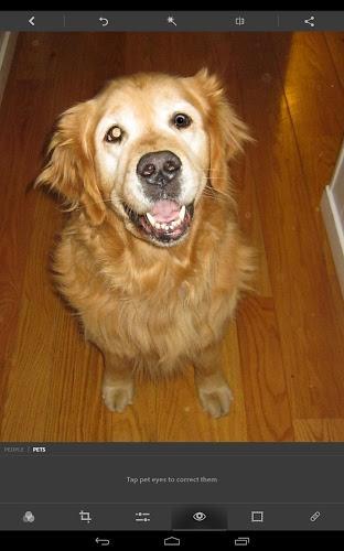 Adobe Photoshop Express Premium v3.3.213 APK Adobe Photoshop Express - screenshot