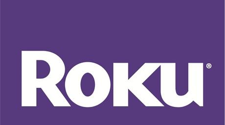 6 Best Roku Channels to Stream Media Seamlessly to TV