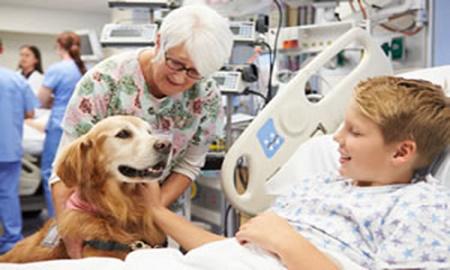 boy-with-pet-therapy-dog