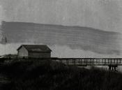 Created Colorful World. Didn't Have To...