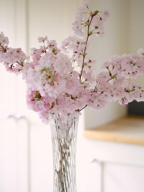 Monday Flowers – Beautiful Blossom!