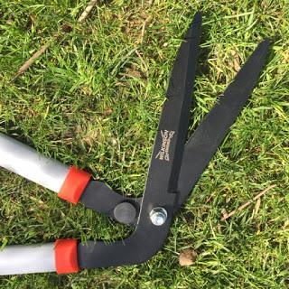 Product Review:  Wilkinson Sword Long Handled Edging Shears