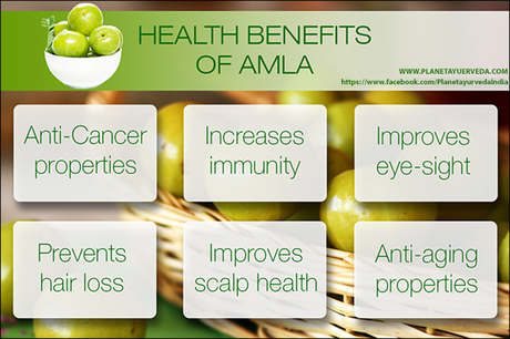 Top 10 Health Benefits of Amla-Amla Capsules By Planet Ayurveda