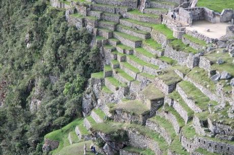 Machu Picchu Tours – Don’t Go Without a Guide!