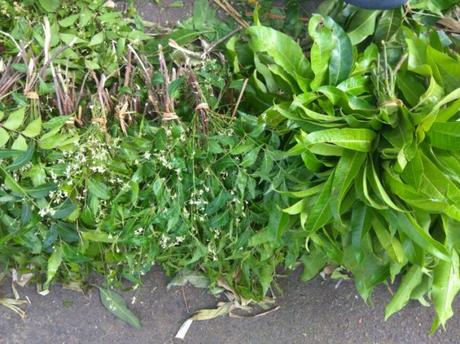 Neem and mango leaves that are customarily used on this day