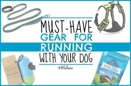 Must-Have Gear For Running With Your Dog