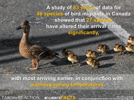 ClimateFacts series: #ClimateChange #Science #Birds
