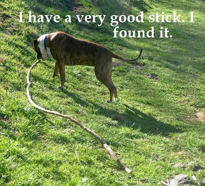 A Very Good Stick